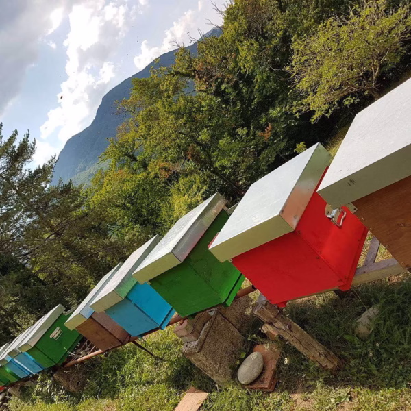 Different colored Giannetti Artisans beehouses in Italy