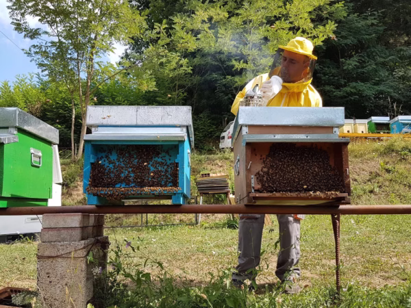 Giannetti Artisans beekeeper tending to bee houses in Garfagnana, Italy